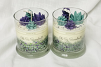 Two clear glass candles with a green and purple decorative wax layer on top, labeled 'Oh So Succulent!' by Ocean & Ivy.